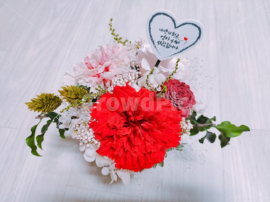드라이플라워,꽃,선물,카네이션,어버이날,flower