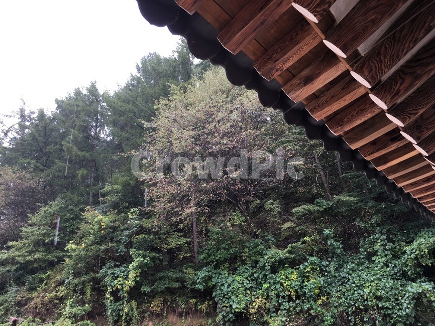 porch,outdoors,안마당,옥외,전통,한옥,비오는한옥,비오는날,처마밑,비,비오는날,rain,rainy