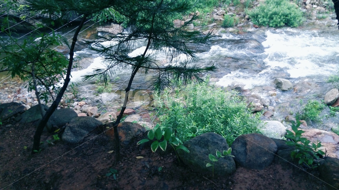 계곡,자연,시원,여름,산