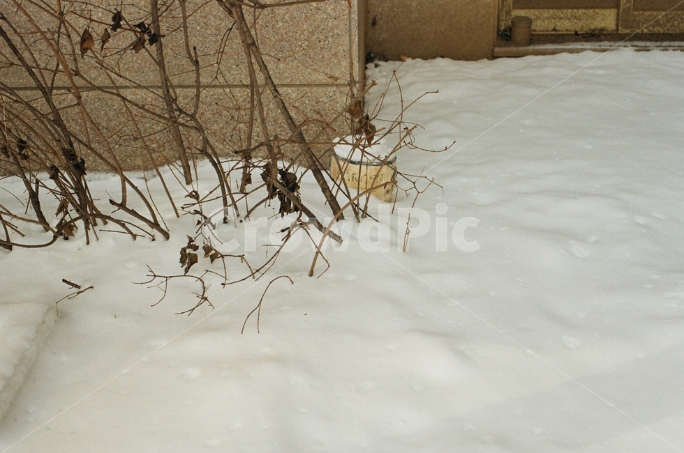 눈,겨울,자연,winter,snow,감성