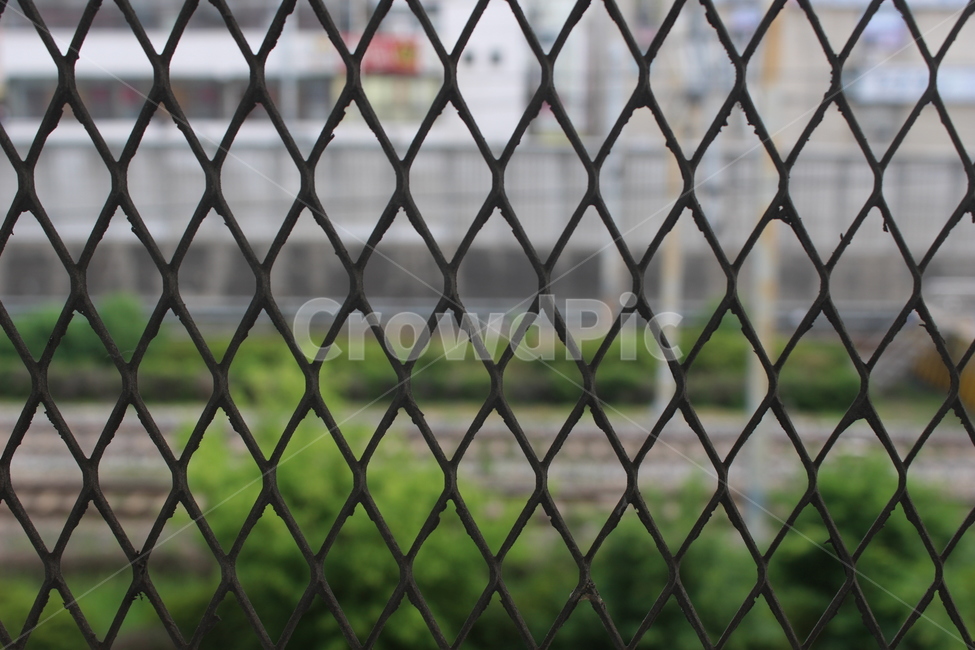 철조망,철망,격자,격자망,펜스,fence