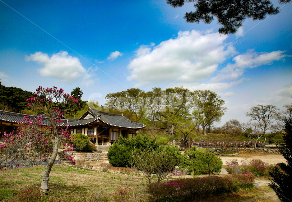 한옥,한국적,자연,풍경,힐링,전통적,나무,맑은하늘,좋은날씨,한국랜드마크,한국시골