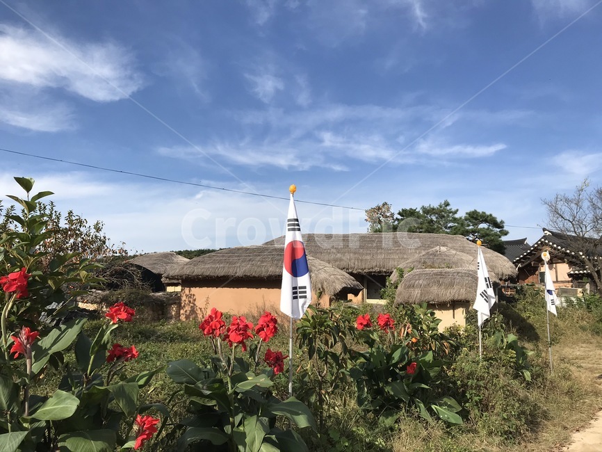 태극기,공휴일,마을,초가집,꽃,꽃밭,대한민국,한국,국내,outdoors