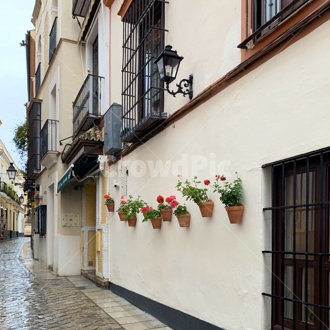 walkway,통로,sidewalk,wall,화분,outdoor,야외