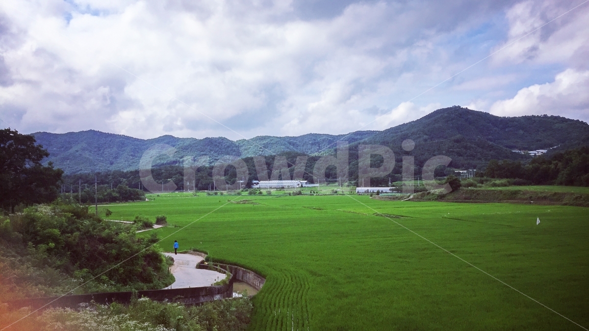 감성,시골,여행,사진,논,시골,마을,풍경,landscape,country,rural,town,해외,외국,세계,foreign,oversea,world,세계자연풍경,해외자연풍경,외국자연풍경,world nature landscape,nature,자연,outdoors,옥외,grassland,목초지,field,들