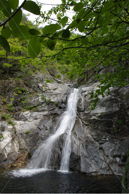 폭포,강물,바위,나무,숲,폭포수,자연,풍경,nature,landscape,river,강,water,물,outdoors,옥외,waterfall
