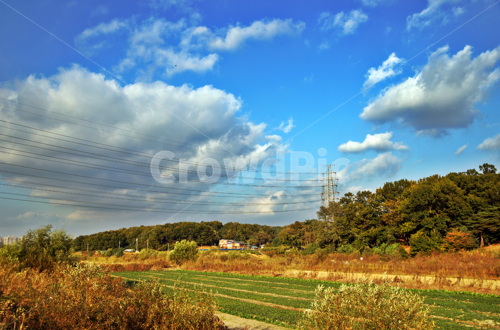 농사,전원,송전탑,자연,푸른하늘,구름,흰구름,밭,시골,마을,풍경,landscape,country,rural,town