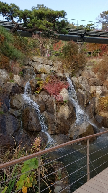폭포,자연,나무,단풍,물,가을,계절,fall,autumn,season,자연,풍경,nature,landscape,water,outdoors,옥외,river,강,waterfall