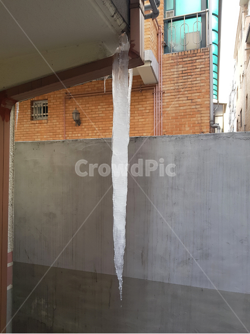 고드름,겨울,얼음,자연,동결,흰색,투명,시즌,배경,냉동,날씨,야외,12월,질감,계절,기후,겨울,계절,winter,season