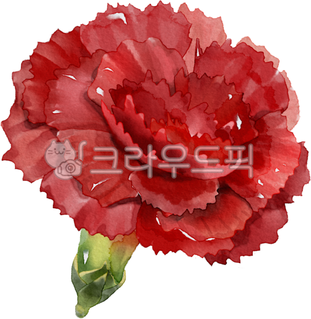 birthday,Decorating a diary,Tattoo,flower design,carnation,nature,flower painting,birth flower,arbor day,tattoo design,floral design,flower,Dakku,watercolor,january,painting,flower illustration,plant illustration,plant,Watercolor