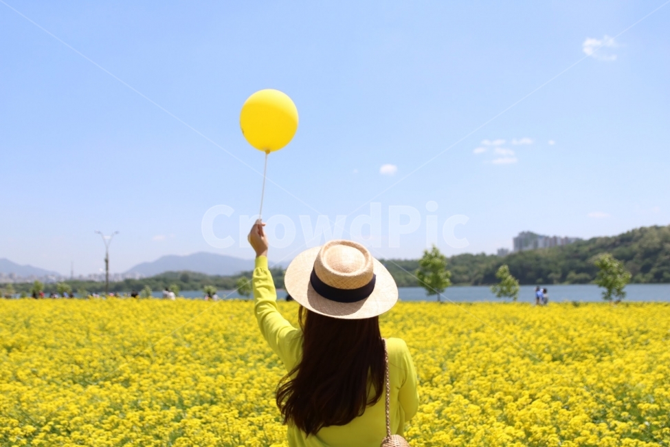 봄,유채꽃,공원,풍성,spring,감성사진,감성,nature,풍경,한강,한강공웡,구리유채꽃,모자,flower,봄,계절,spring,season,사람,인물,인간,human,person,여성,여자,woman,female,lady,여행,휴가,traveling,vacation,trip,패션스타일,의상,fashion,style,hat