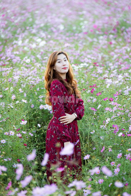 가을,꽃,코스모스,여인,모델,식물,자연,plants,nature,꽃,flower,사람,인물,인간,human,person,여성,여자,woman,female,lady