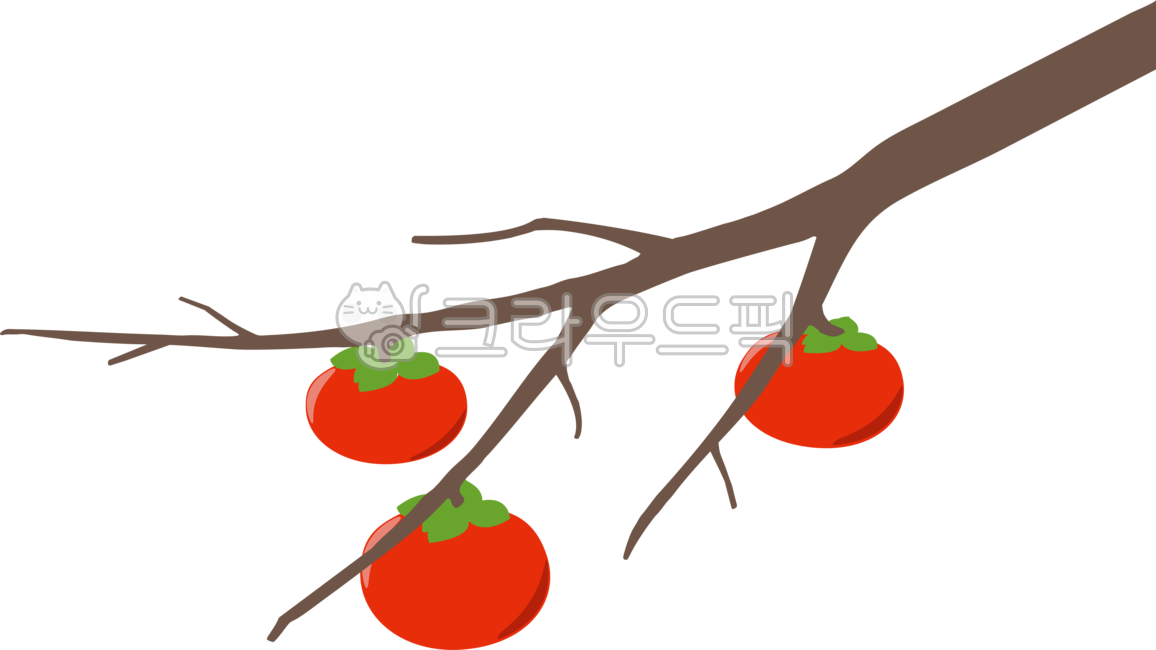 감나무,감,단감,plant,식물,나무,소스,디자인,소재
