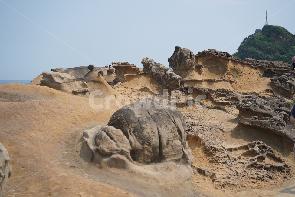 대만,타이완,예류,예류지질공원,예스진지,돌,화석,자연,풍경,nature,landscape,해외,외국,세계,foreign,oversea,world,세계자연풍경,해외자연풍경,외국자연풍경,world nature landscape,ground,바닥,outdoors,옥외