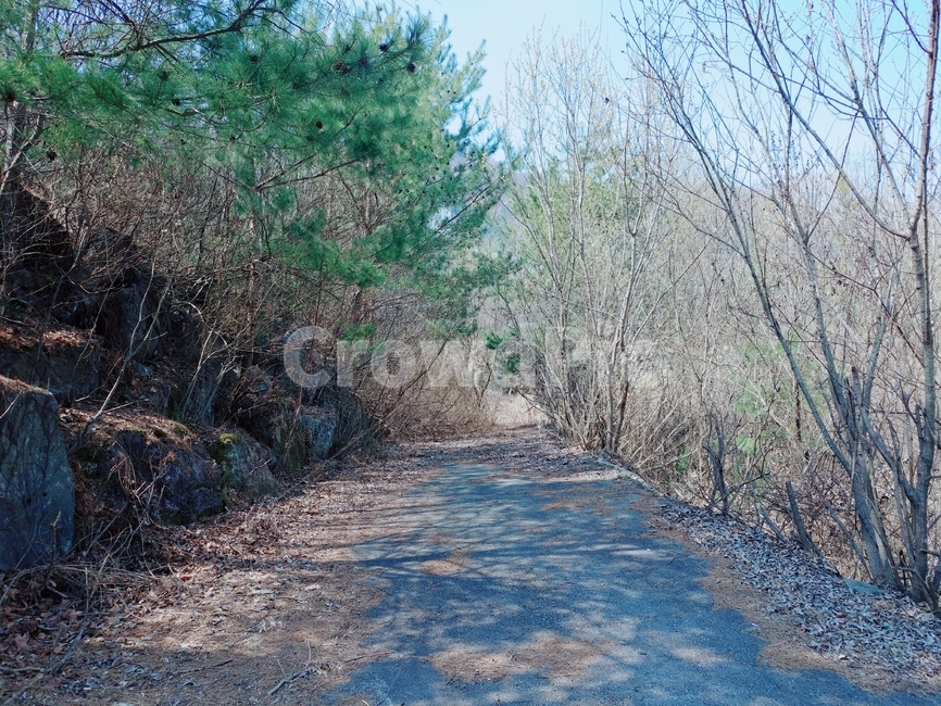 산길,산책,산,봄,자연,자연,풍경,nature,landscape