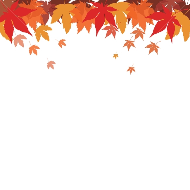 벡터,프레임,eps,vector,가을,낙엽,leaves,autumn,fall,season,colorful,가을소스,디자인소스,패턴,pattern,패턴소스,잎새,잎사귀,식물,다양한,various,different,fallenleaves,일러스트레이션,illustration,단풍잎,단색,가을분위기,가을소재,시즌,계절,9월,10월,11월,flame,box,박스,포스터,전단,이벤트,바탕,배경,백그라운드,background,가을,계절,fall,autumn,season,그래픽,일러스트레이션,graphic,illustration,leaf,잎,plant