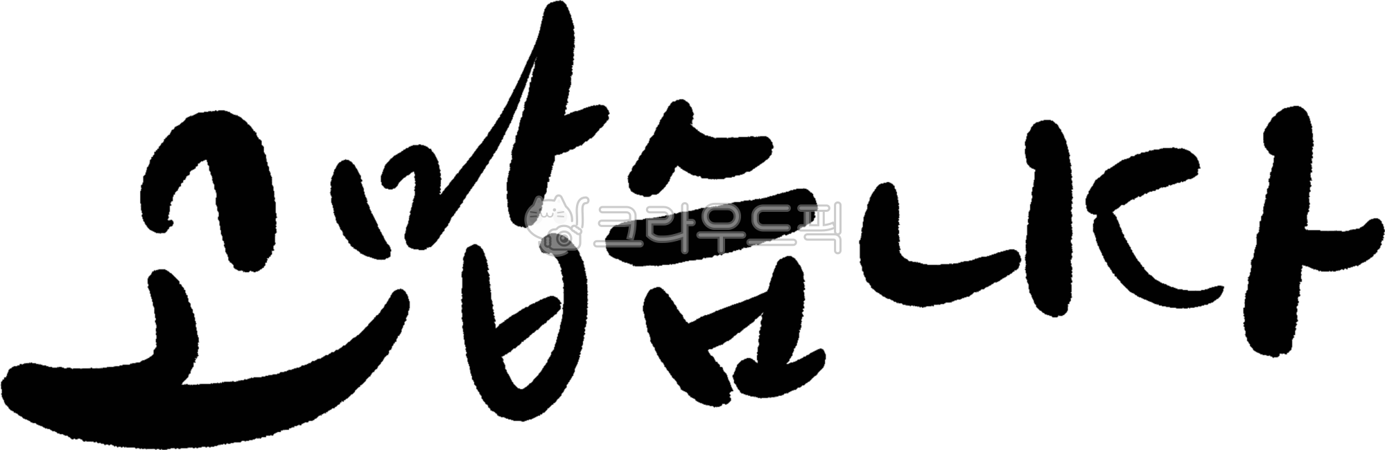 Nukki,Cali,Callie,handwriting,thank you,thanks,design,Thank you,calligraphy,Thank you message,design source