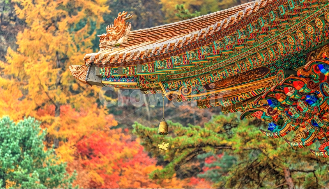 구인사,절,가을,풍경,단풍,가을,계절,fall,autumn,season,한국전통,한국문화,korean traditional,korean culture,건축물,건물외관,exterior,building,structure,architecture,construction,temple,신전,건물,worship,예배,shrine,신사,pagoda,탑