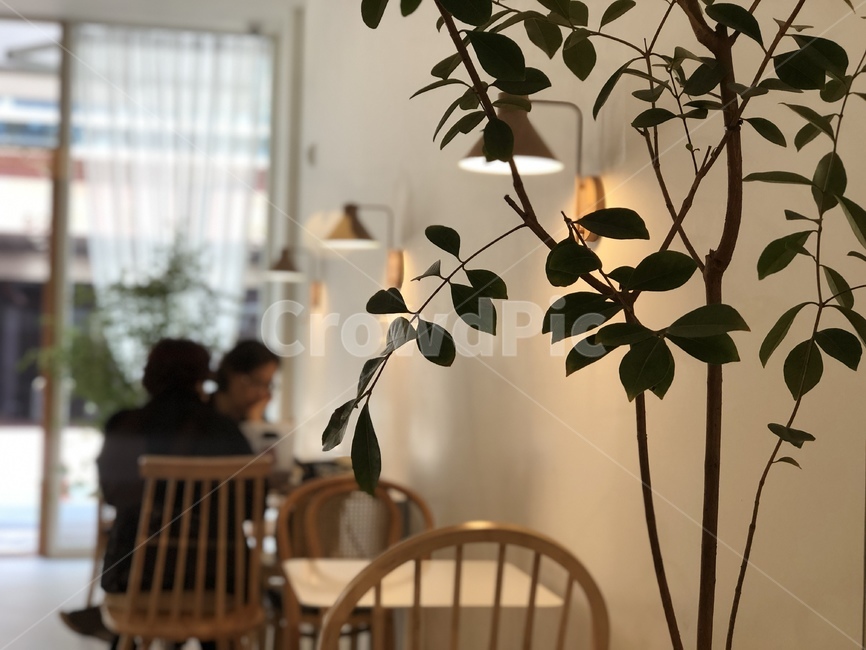 homedecor,furniture,cafe,카페,따뜻함,인테리어
