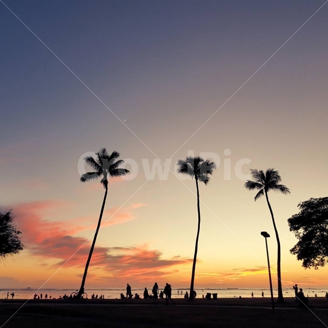 하와이,바다,비치,노을,선셋,해변,바다,beach,sea,해외,외국,세계,foreign,oversea,world,세계자연풍경,해외자연풍경,외국자연풍경,world nature landscape,사람들,대중,군중,other people,crowd,실루엣,그림자,silhouette,shadow,여행,휴가,traveling,vacation,trip,nature,자연,outdoors,옥외