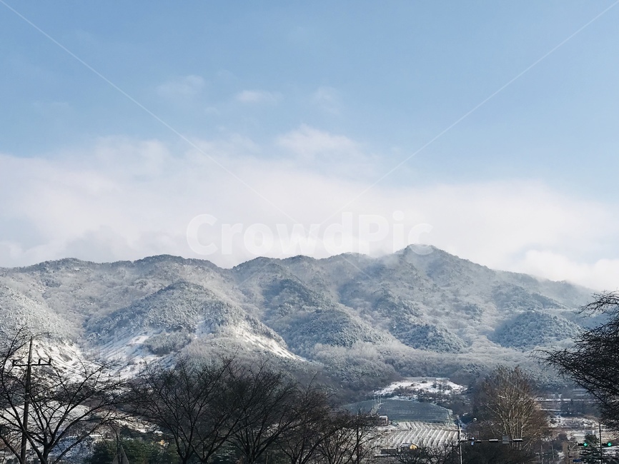자연,풍경,식물,하늘,겨울,눈,겨울,계절,winter,season,자연,풍경,nature,landscape,outdoors,옥외,mountain,산,mountain range,산맥,tree,나무,plant,fir,전나무