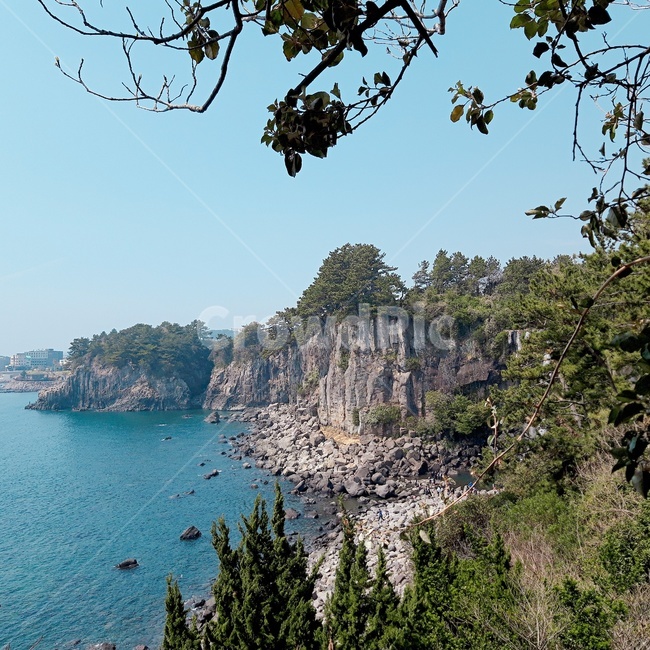 자연,제주도,자연물,힐링,바다