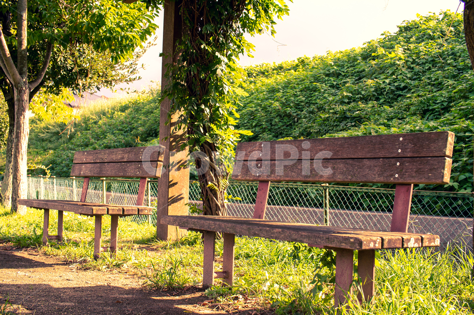 공원,야외,벤치,감성,자연,자연,풍경,nature,landscape,bench