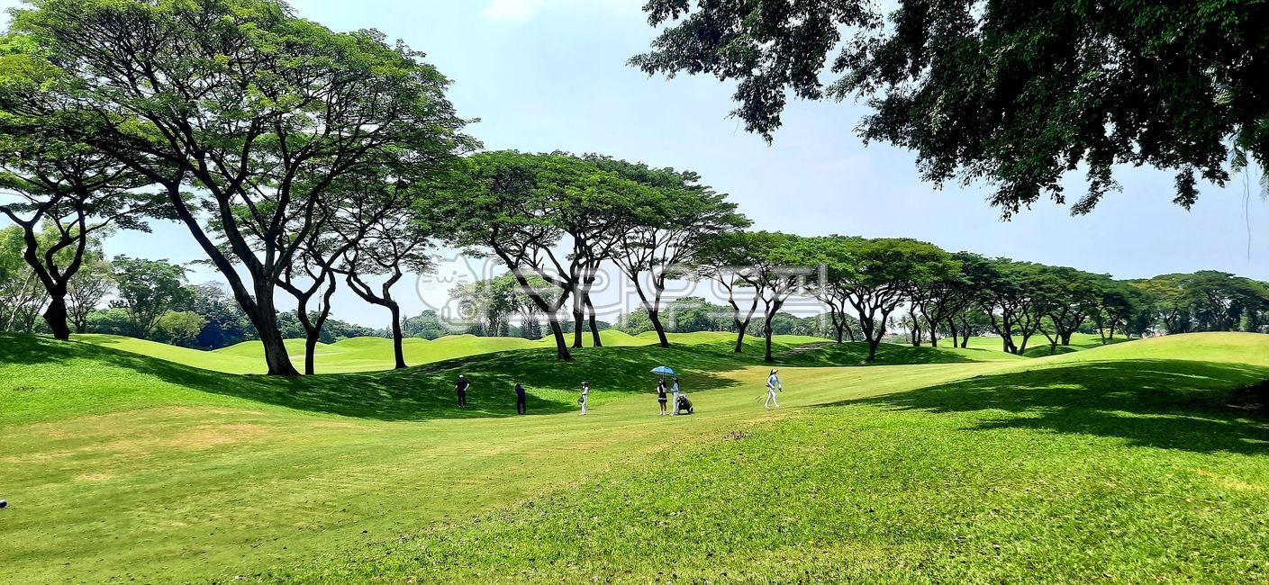 field,golf course,fairway,Indonesia Golf,golfcourse,Southeast Asia Golf