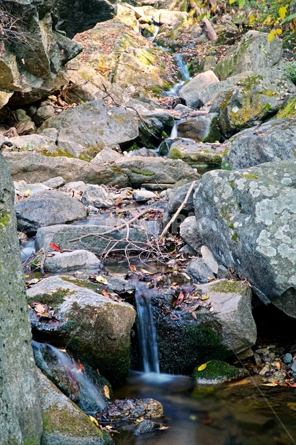 계곡,무지랭이계곡,경기도,경기북부,의정부,자연,가을,autumn,fall,11월,낙엽,물,water,나무,바위,돌,암석,tree,nature,rock,valley,rubble,outdoors,fallen,leaf,잎,식물,plant,이파리,단풍,한국,한국자연,korea,november,leaves,가을,계절,fall,autumn,season,자연,풍경,nature,landscape,파편,river,강,옥외