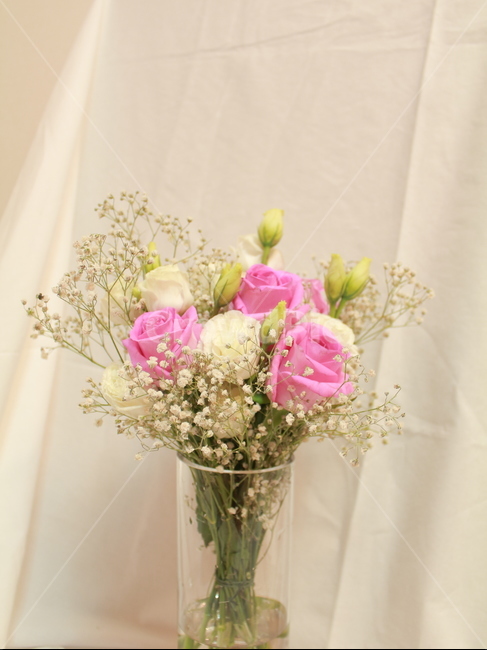 꽃,장미,꽃봉우리,스튜디오,정물,사물,오브젝트,안개꽃,꽃,flower,실내용화초,화분,화초,house plant