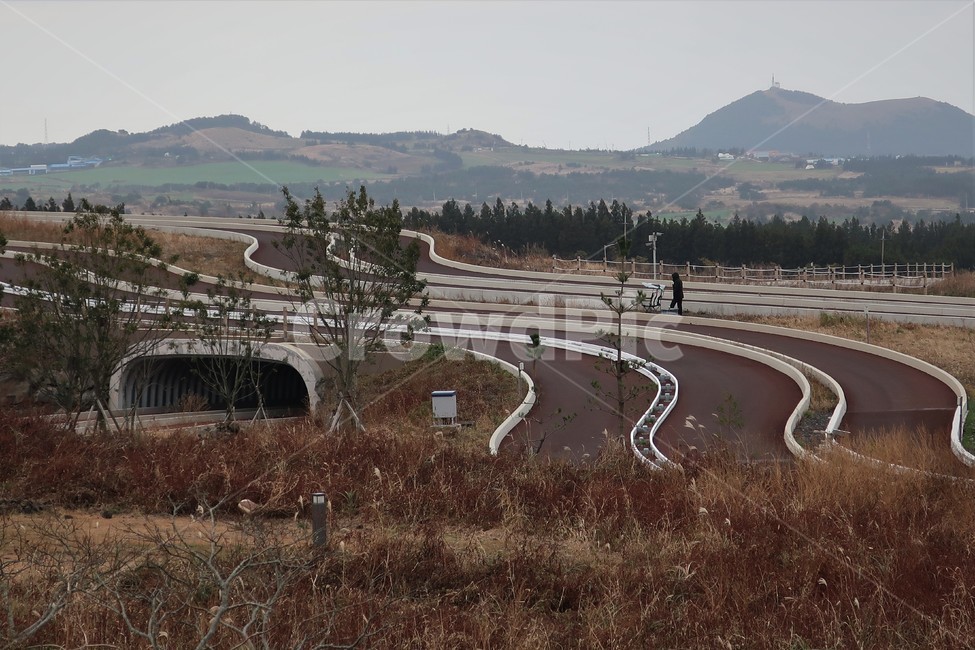 카트,카트라이더,레이스,레이싱,레이싱카,카트레이싱,체험,코스