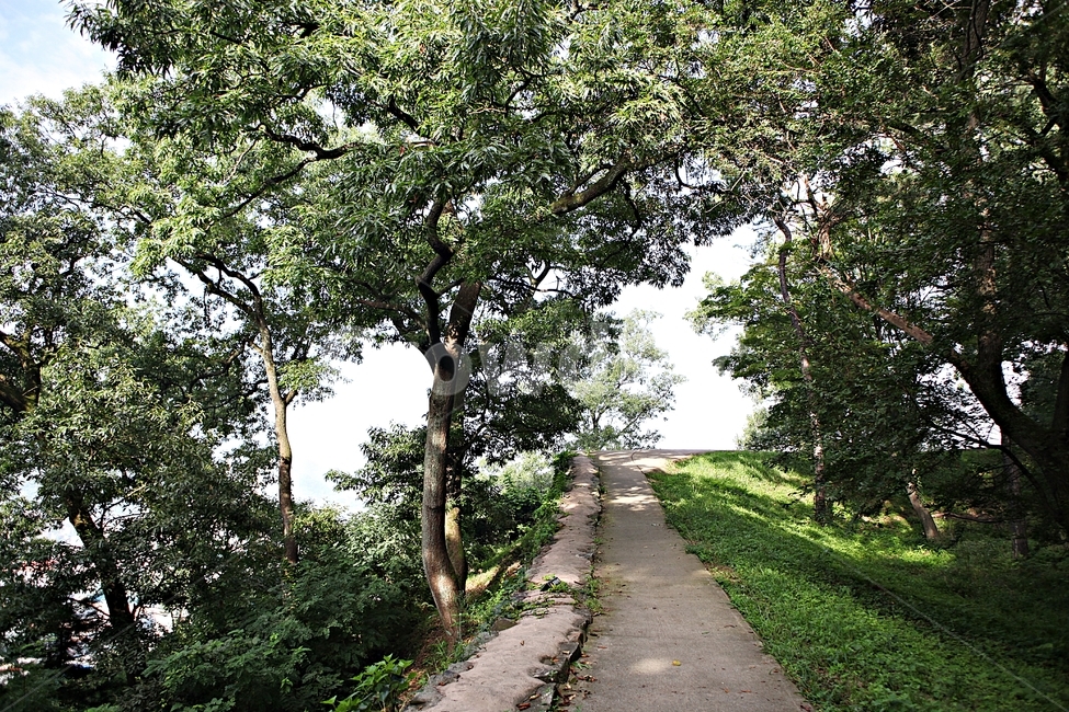 공주산성,산성,성,성곽,길,둘레길,숲,숲길,안개,담,돌담,여름,풍경,흙담,나무,식물,유네스코등제