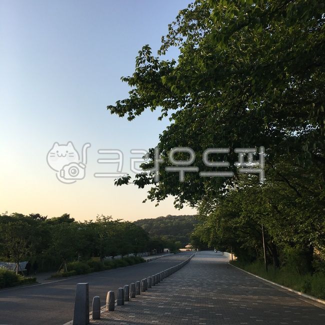 distance,road,tree,road name,asphalt,Gwacheon