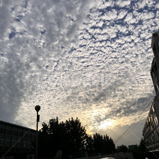 양털구름,구름,배경,하늘,해질녘