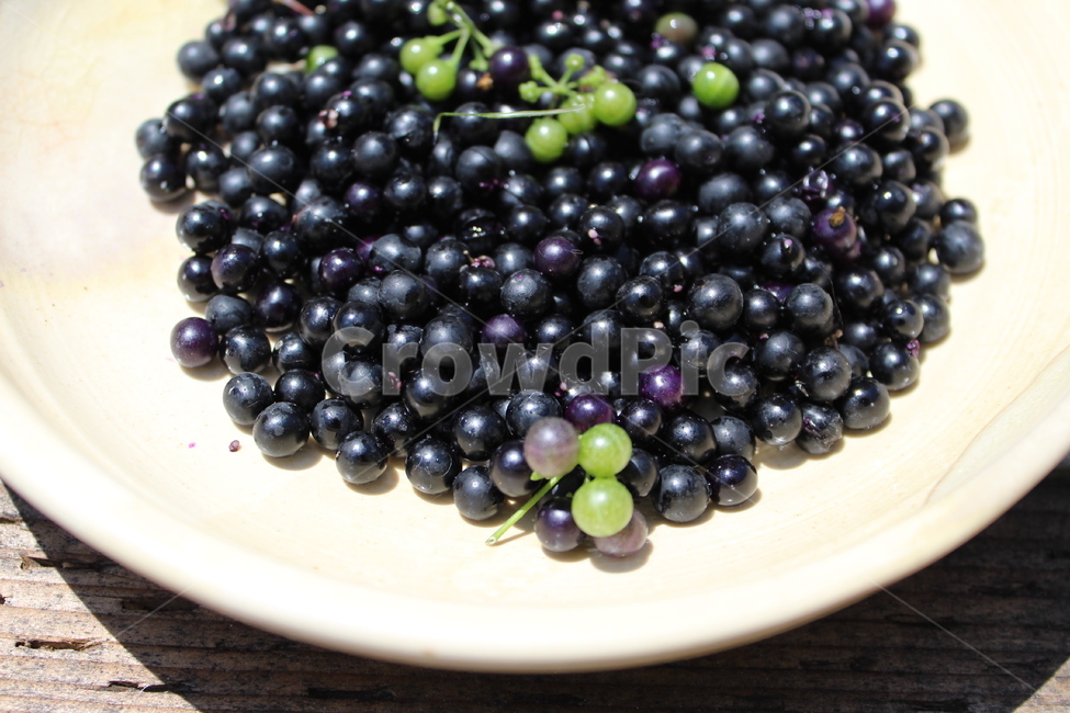 까마중,열매,fruit,과일,plant,식물,뒷마당,추억
