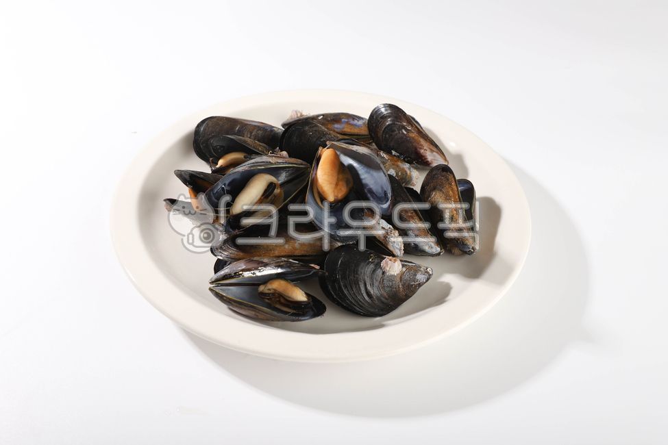 홍합,수산물,바다생물,먹거리,조개,음식,식재료,요리,food,cook,meal,dishes,food reserves,수산물,해산물,fishery products,seafood