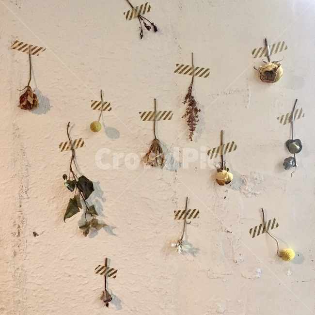 꽃,드라이플라워,인테리어,flower,dryflower,인테리어,실내디자인,interior design