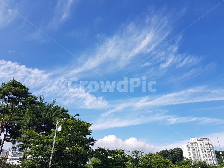 구름,새털구름,구름파도,하늘,파란하늘,여름하늘,sky,cloud