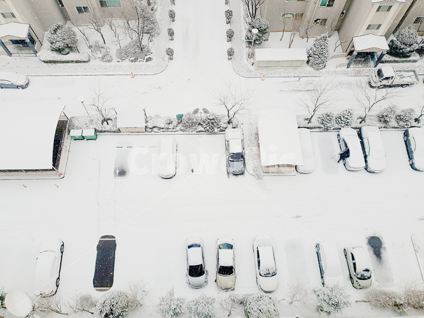 눈,겨울,snow,계절,눈송이,season,나무,한겨울,크리스마스,눈꽃,아파트,도시,한국,풍경