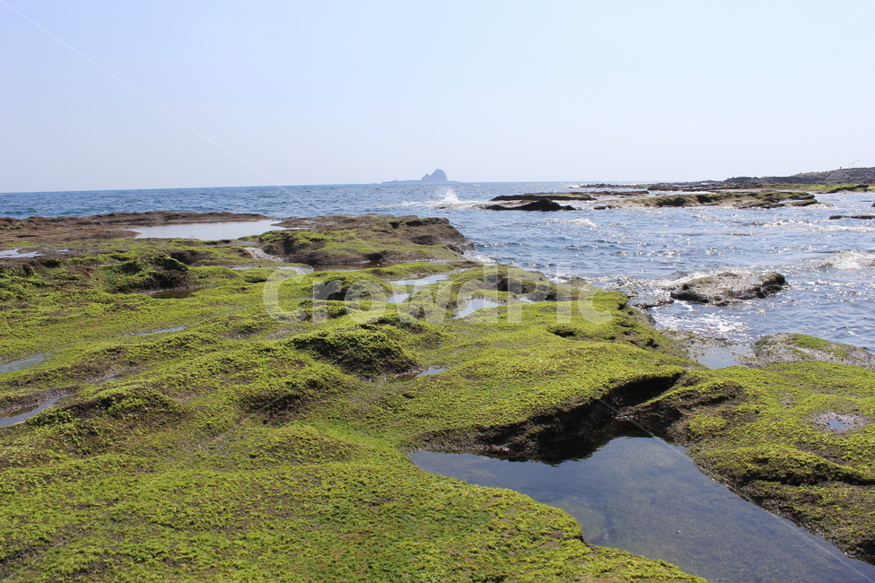제주도,바다,이끼,풍경,바닷가,봄,여름,자연풍경,자연,제주바다,풍경사진,자연,풍경,nature,landscape,한국자연풍경,한국자연경관,korea nature landscape,제주도,jeju,jeju island,plant,식물,algae,조류