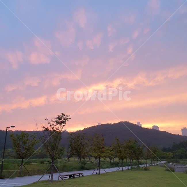 노을,자연,풍경,하늘,구름,공원,식물,plant,자연,풍경,nature,landscape,grass,잔디,outdoors,옥외