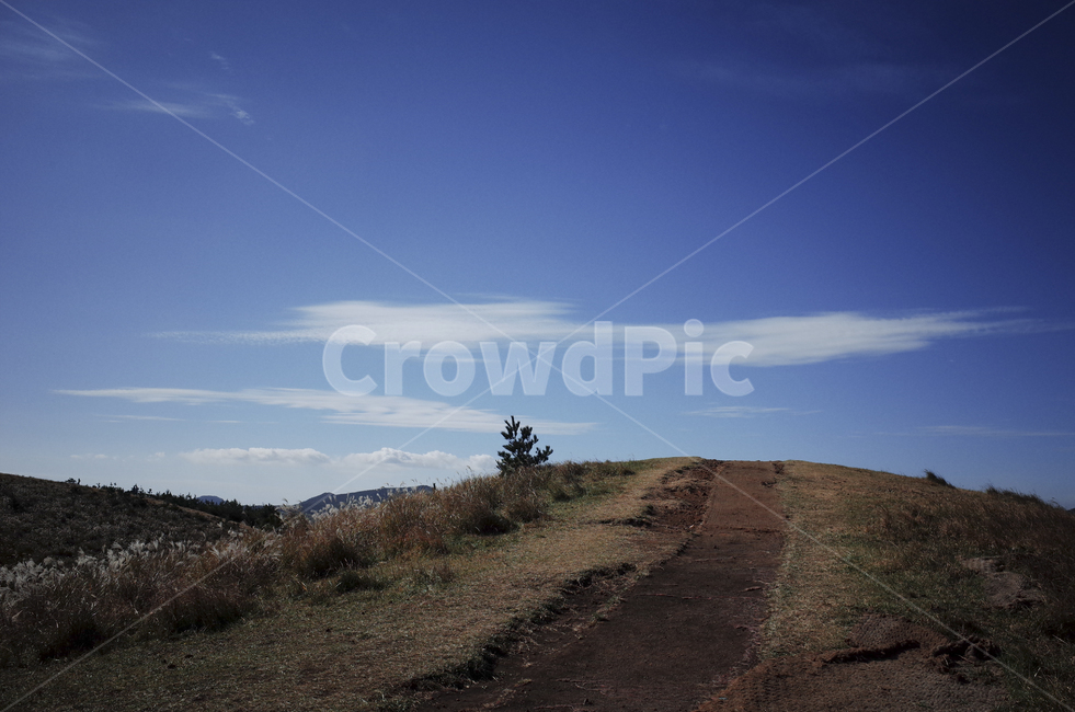 boardwalk,산책로,field,들,hill,언덕,outdoors,옥외,하늘,sky,bluesky,파란하늘,푸른하늘,nature,자연