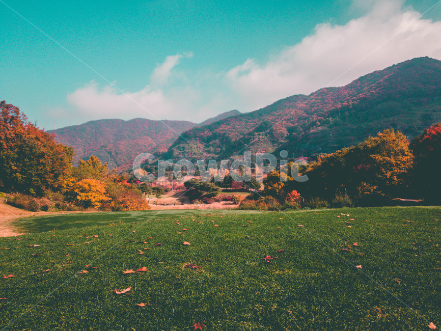 골프장,가을,단풍,하늘,티샷,티박스,가을,계절,fall,autumn,season,nature,자연,outdoors,옥외,grassland,목초지,field,들,farm,농장,rural,농촌,meadow