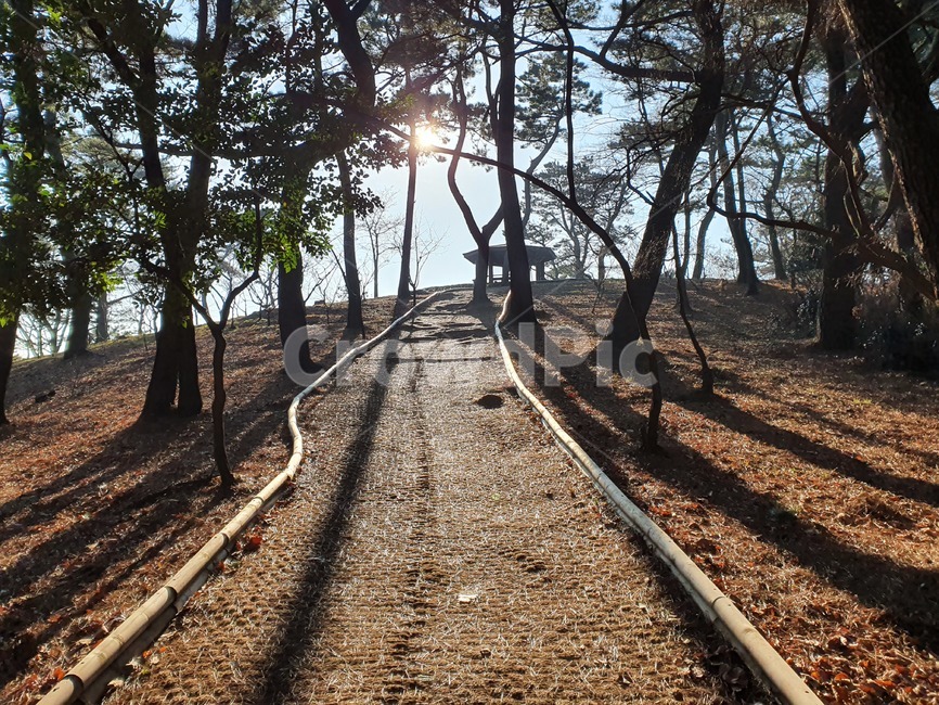 흙길,dirtroad,road,도로,gravel,자갈,산길