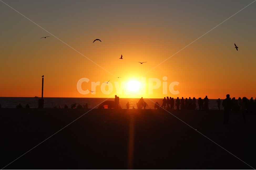 nature,인간,animal,동물,outdoors,자연,person,옥외,bird,새,sunlight,사람,human,햇빛,하늘,sky