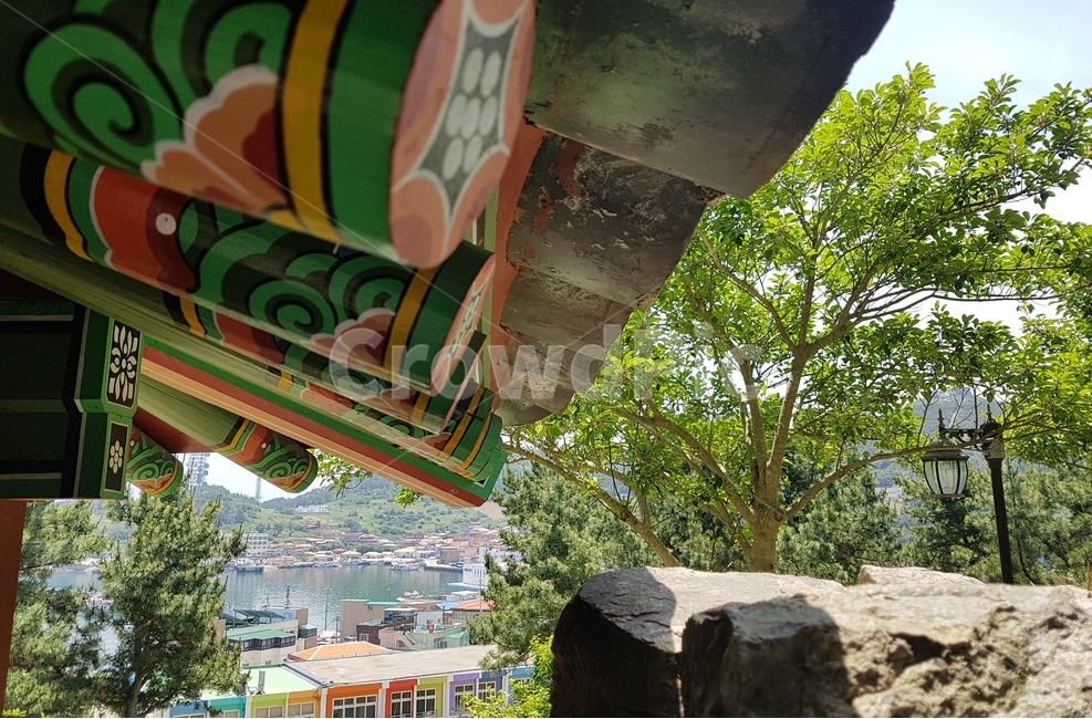 제주,제주도,추자도,추자초등학교,풍경,나무,전통,전각,한국전통,한국문화,korean traditional,korean culture