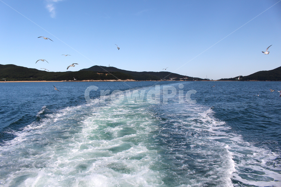 바다,갈매기,하늘,새,물길,파도,파란색,sea,seagull,sky,bird,waterway,자연,풍경,nature,landscape,leisure activities,레저 활동,adventure,모험