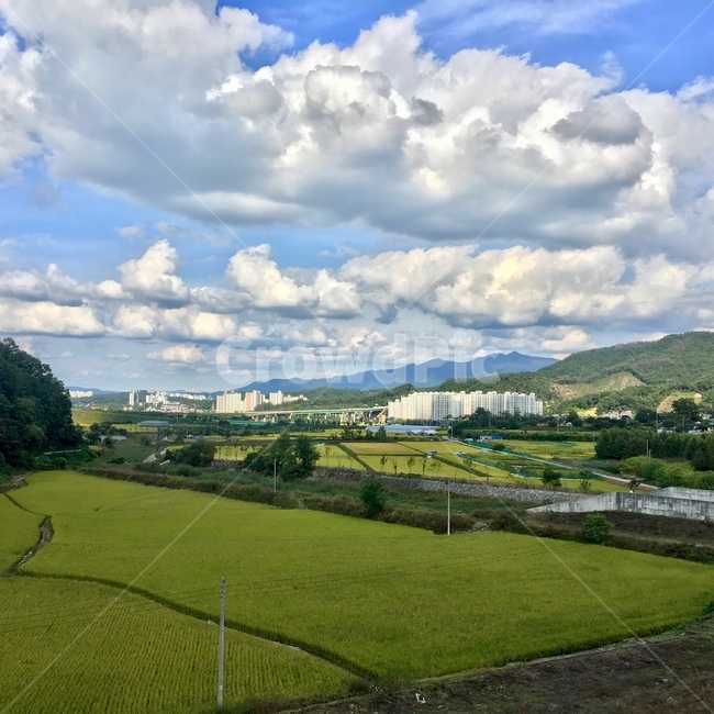 배경화면,아파트,도시,논,시골,urban,밭,아파트단지,시골사진,주택,사람,정,사랑,여름,시원함,시골,마을,풍경,landscape,country,rural,town