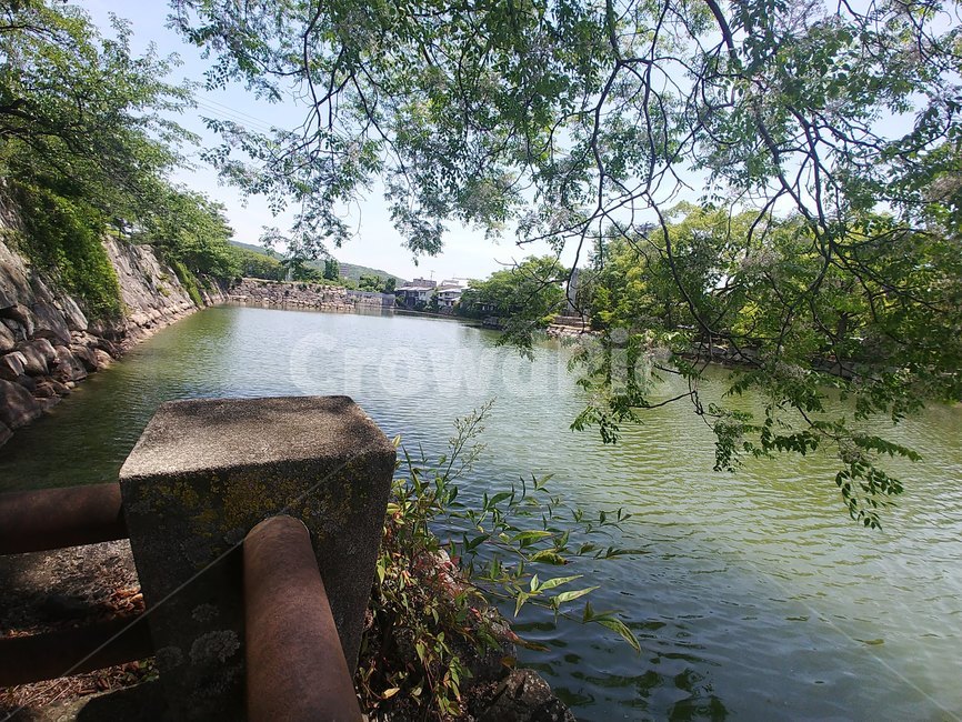 호숫가,호수,정원,공원,식물,그늘,연못,lake,water,garden,gardenpark,park,plant,shade,tree