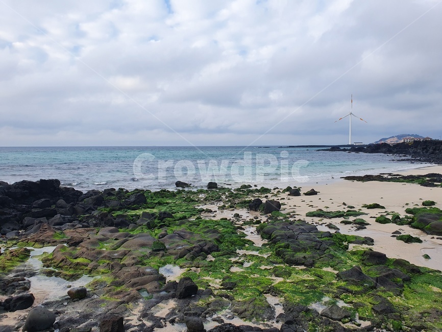 해변,제주도,제주도바다,초록이끼,자연,바다,sea,water,nature,ocean,물,앞바다,돌,outdoors,옥외,바람,하늘,구름,풍경,바다풍경,이끼,식물,plant,조류